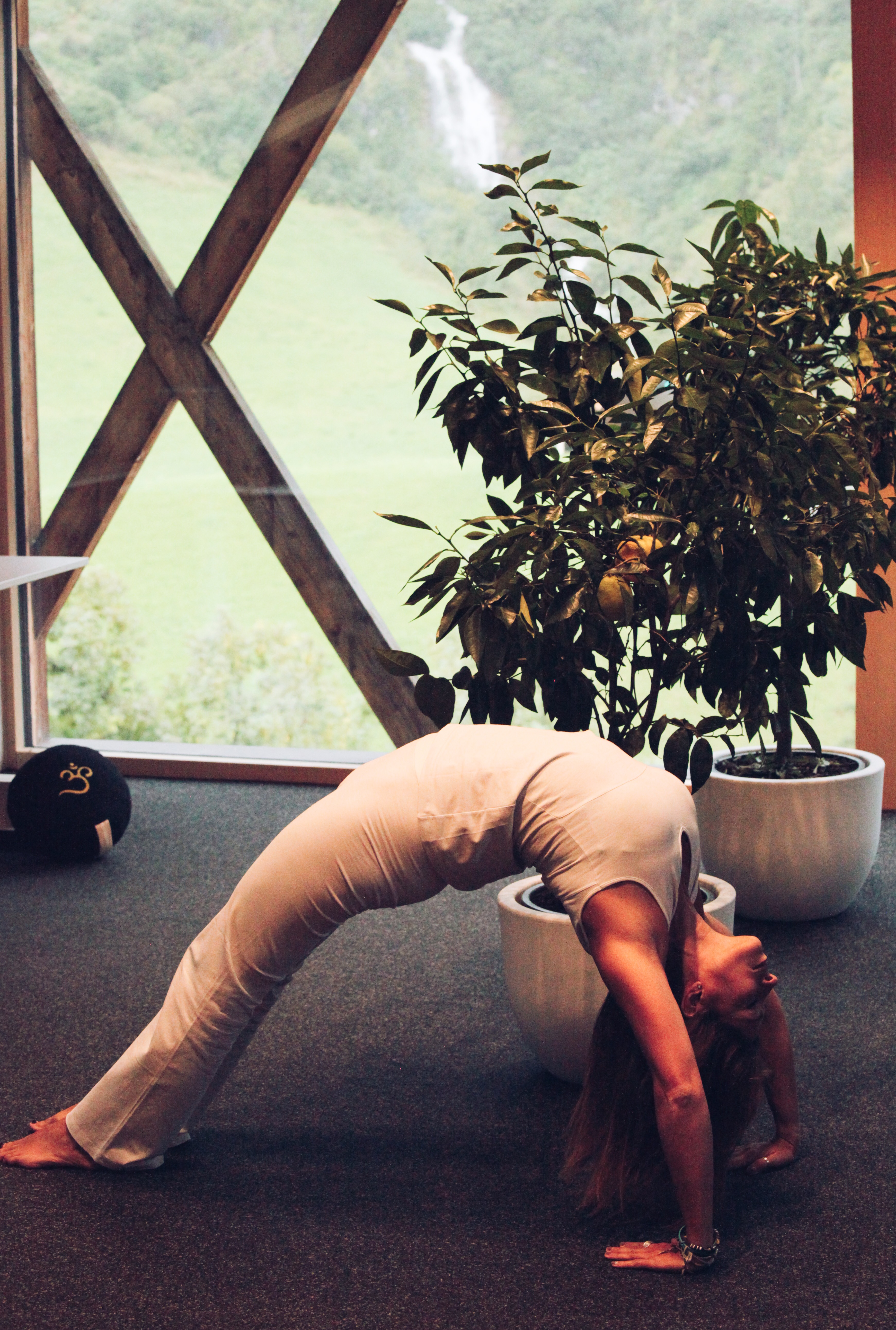 1AE28A15-BEAF-4E4C-8DDB-2CB9DABEDD59