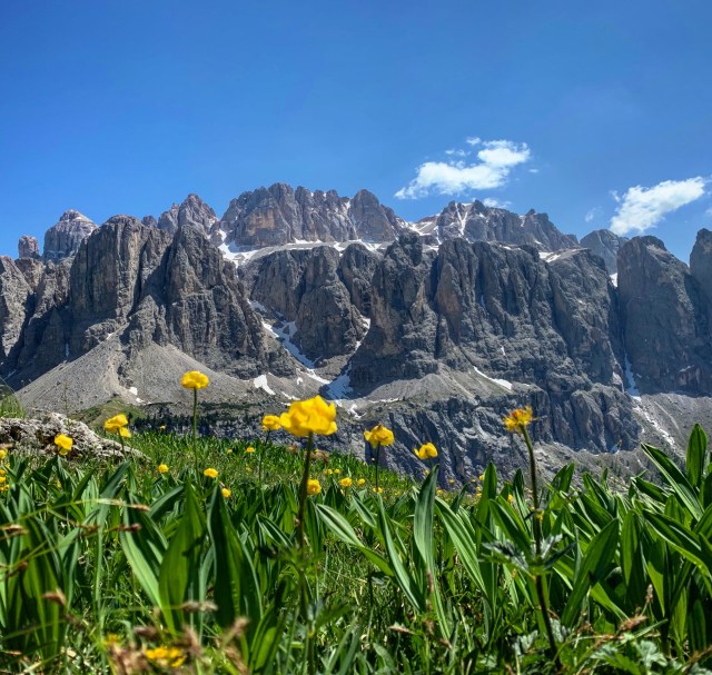 42C1A3EF-6259-4447-AC7D-F142A08E68C0