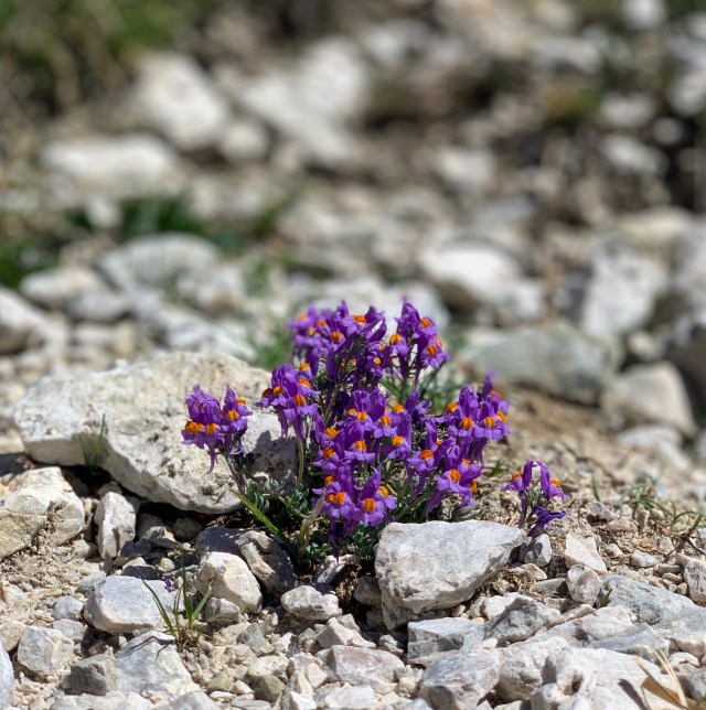 484AEB8B-1C76-47CE-81EC-E1F0A2B4454D