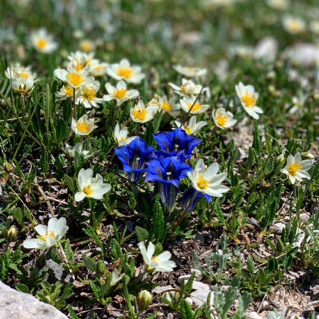 FC155368-A1E2-4BB9-BC62-BFEBB6BA2BF9