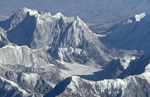 Le api giganti&nbsp;dell’Himalaya